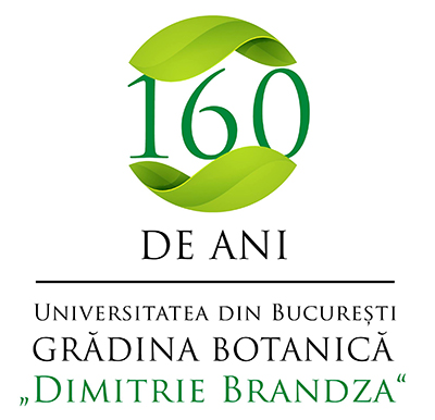 Universitatea Dimitrie Brandza